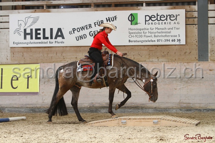 26-ApHC GT_155.jpg
